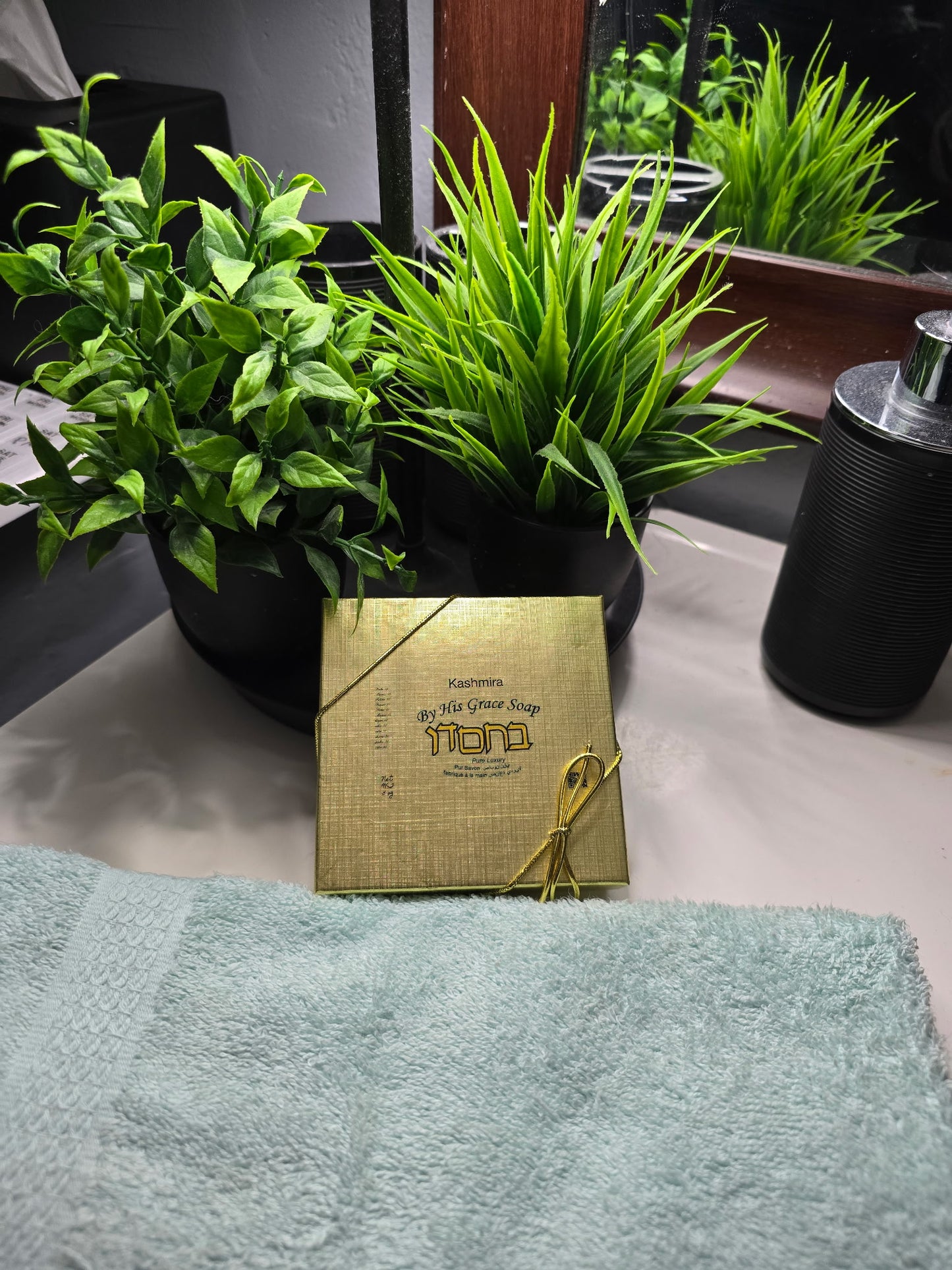 Gold book titled 'My Little Green Things' with potted plants on a surface